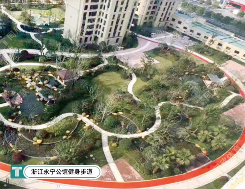 17648200310_846415001764820031-500x386-cut