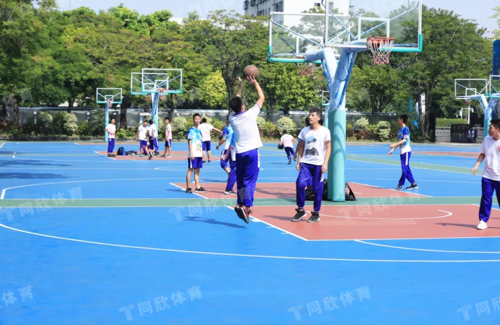 005 GOPAY钱包官方网站 - 安全便捷的数字钱包与移动支付平台