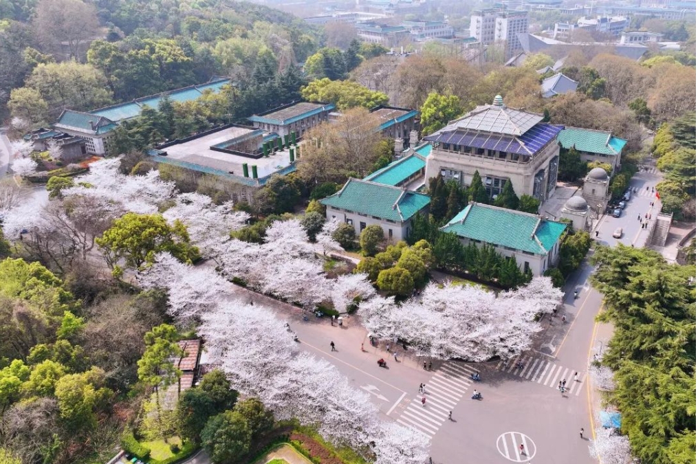 121 GOPAY钱包官方网站 - 安全便捷的数字钱包与移动支付平台
